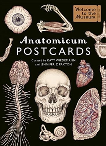 Anatomicum Postkartenkarton 978-1787416529 NEU kostenlose Lieferung - Bild 1 von 1