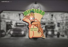 Michigan Pinup Water Slide Decal Ford Racing Intake Hemi 1950s Sexy Chevy Dodge