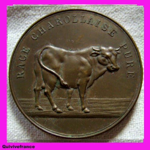 MED1559 - COW RACE CHAROLAISE CHAROLLES COMPETITION MEDAL 1901 - Picture 1 of 2