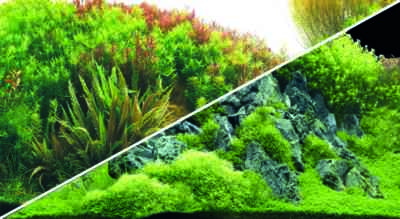 Hobby Fotorückwand Planted River / Green Rocks XL Rückwand 120x50cm Aquarium