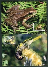 2020 Wildlife Recovery - Maxi Cards (6)