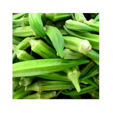 100 Emerald Okra Seeds for Planting Non GMO Heirloom Seeds Instant Latch Fres...