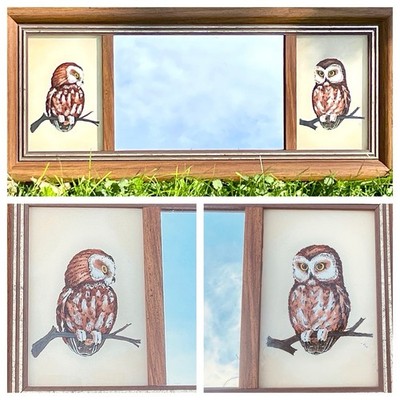 Vtg MCM Wood Framed Mirror Set Reverse Painted Saw Whet Owls On Glass 20x9'' USA