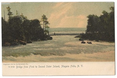 Niagara Falls New York c1915 Ferguson's Niagara Falls House, hotel