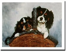 Prince Charles Tri-Color Cavalier Puppy Notecard Set 6 Cards By Ruth Maystead
