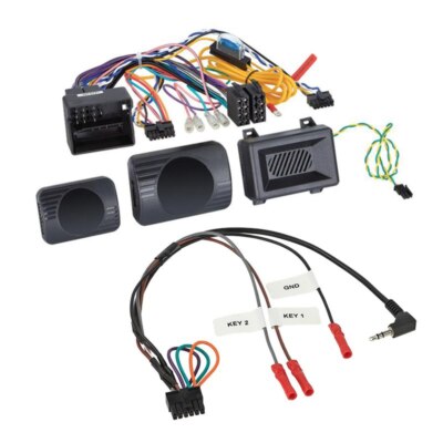 Lenkradfernbedienung auf Philips Interface für BMW X1 mit Parksensoren