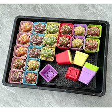 Plant Grow Tray Set Strong And Long-lasting Material Sleek Minimalist Design