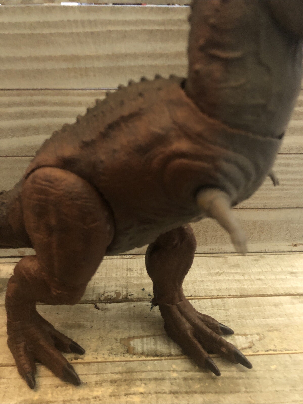 Picture 3 of 5