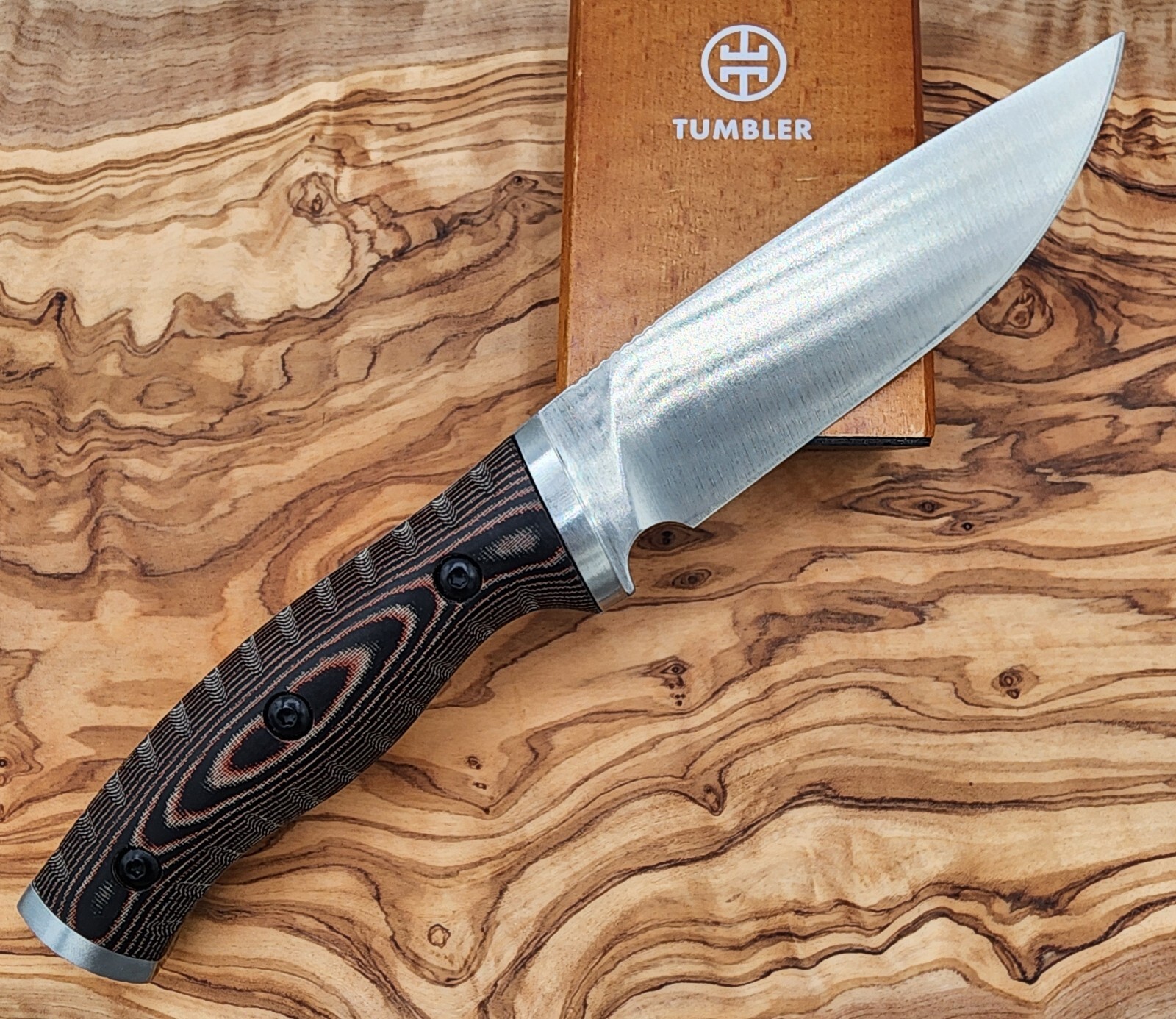 Buck Knives 853 Small Selkirk Fixed Blade Survival Knife with Nylon