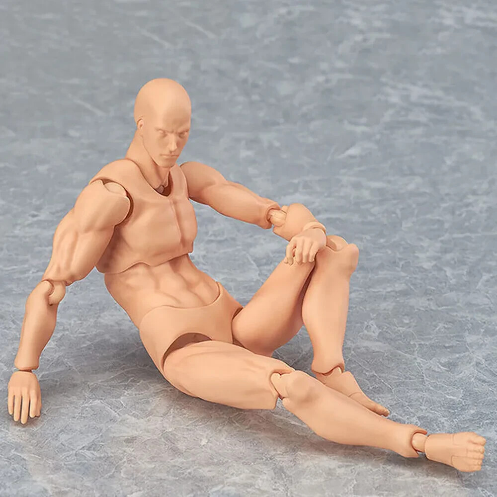 Figuras De Acción Body-kun Dx & Body-chan Dx Modelo De Pvc. | Envío Gratis