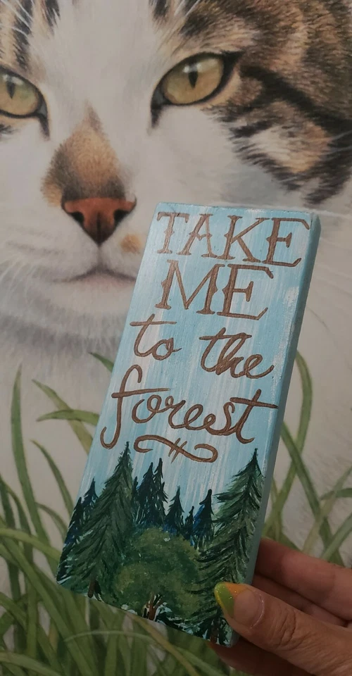 🌲L@@K 3.5x 8 Handpainted TAKE ME TO THE FOREST Wood Plaque Block Sign WALL ART - Image 2 of 4