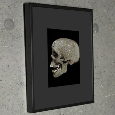 Limited special matte framed item/Damien Hirst/Diamond Skull 02