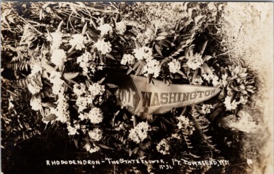 Port Townsend Washington Pennant Rhododendron State Flower Patton Postcard G59