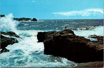 POINT LOBOS Highway 1 CARMEL, California CA Postcard