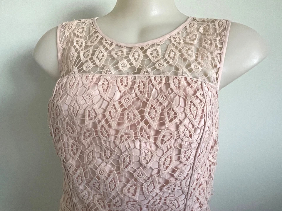 BNWT Basque Pink Lace Dress for Party Size 12 eBay Australia