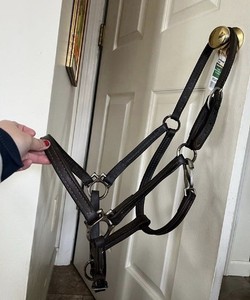 Horse 1/2β Leather Halter Havana With Throat Latch And Adjustable Crownpiece