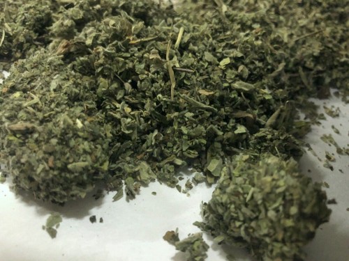 MEDICINAL Healing Marshmallow Leaf! - Bulk Organic HERB! - 1/8 oz ounce SAMPLE - Picture 12 of 17