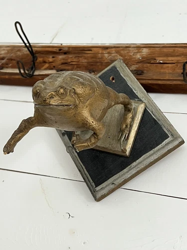 Antique VTG 1930s Era Taxidermy Toad Frog Mounted Oddity Painted Display Old 30s