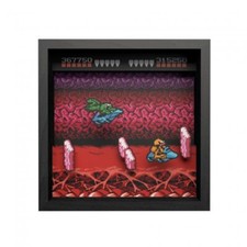 Pixel Frames Battletoads NES Turbo Tunnel 9x9 Shadow Box Art Officially Licensed