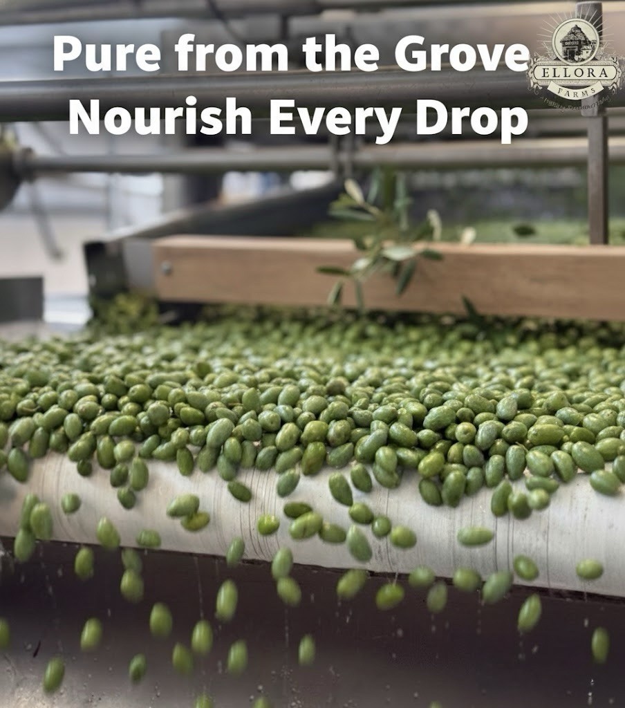 Greek Extra Virgin Olive Oil, Single Estate PDO, Global Gold Awards, 33.8oz X 2