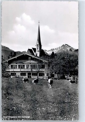 51120888 - 8182 Bad Wiessee Kuhweide Kampen