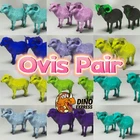 Ovis Color Pair ARK🦕 Survival Ascended ASA PVE PC/XBOX/PS