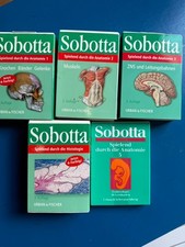 Spielend durch die Anatomie / Histologie (Ler...