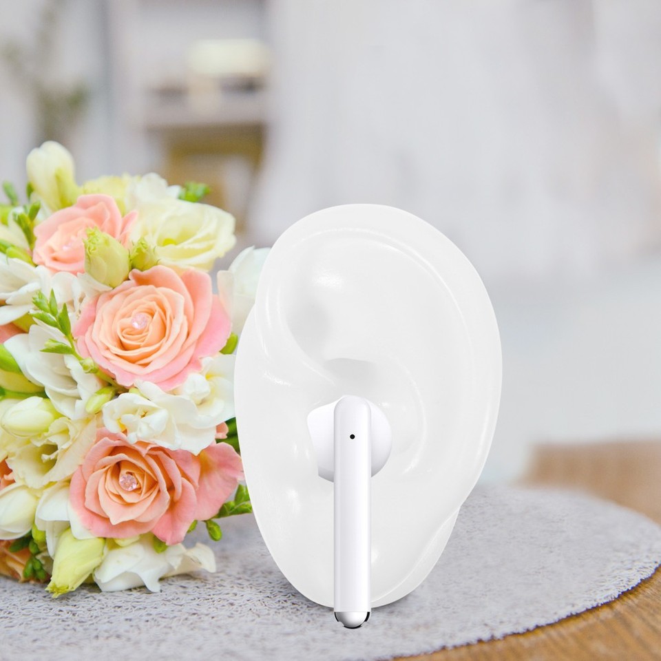 Ear Anatomy Model Science Artificial Display Mold for Earrings Cleaning ...