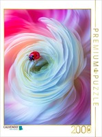 Calvendo Puzzle Ranunculus Swirl | 2000 Pieces, Finished Size 35.4 × 26.4 In (90