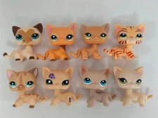 8pcs/lot LPS Toys Littlest Pet Shop Short Hair Cat Animal Figures 063