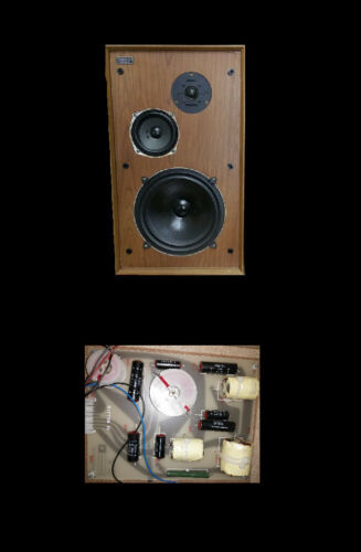 Celestion S8 Subwoofer Home Theater Powered Sub Down Firing 8