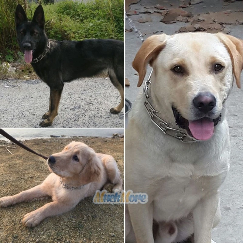 Collar de cadena de estrangulador de entrenamiento para perros ajustable de metal y acero pellizco 4,0 m 16"-22" Foto 3 de 4