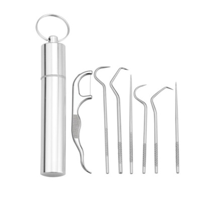 8pcs Portable Stainless Steel Metal Toothpick Bag Set Reusable with Hold.vm