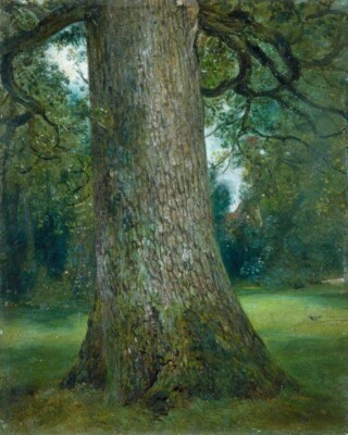 Oil painting Study-of-the-Trunk-of-an-Elm-Tree-John-Constable-Oil-Painting art