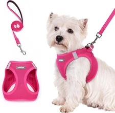Dog Harness Small Sized and Leash Set, Step in Soft Light Puppy Vest, Breathable