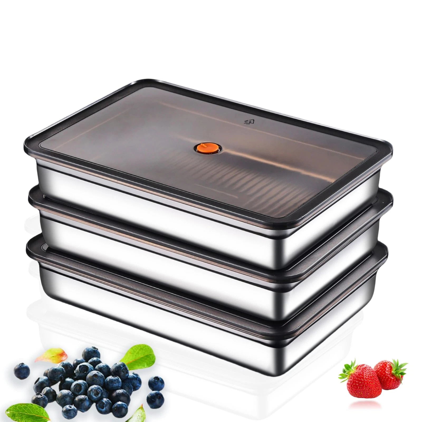 Stainless Steel Food Storage Containers, Silver, Airtight with Vacuum Seal, S...