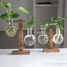 Glass Hydroponic Plant Vase with Wooden Stand Bulb Propagation Planter