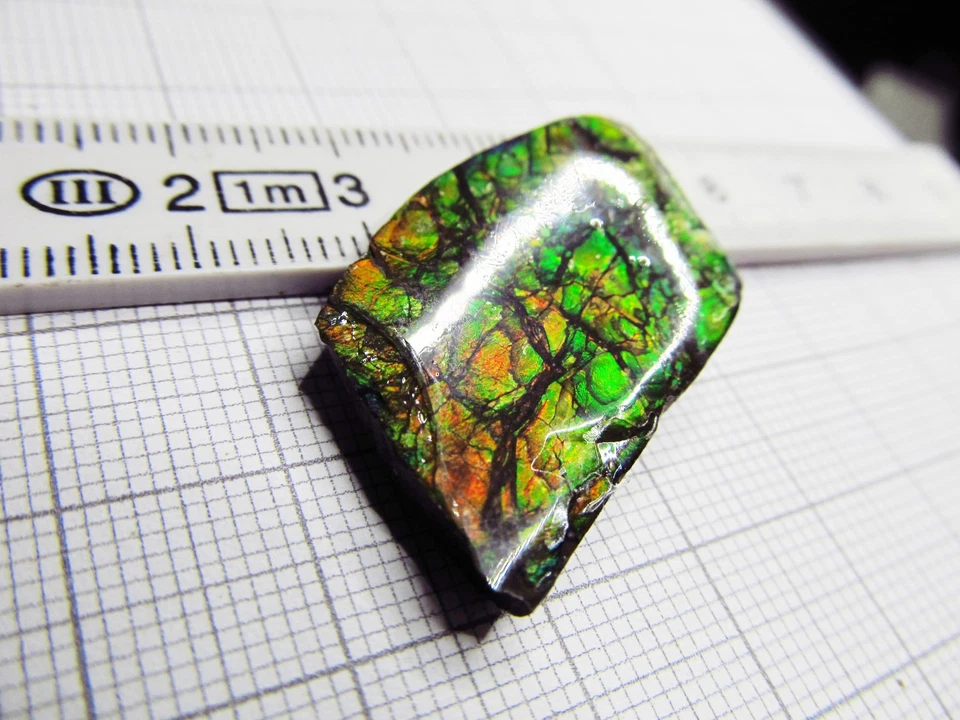 Ammolit, Ammolith, Ammolite Kanada, Maße ca. 28 x 19 x 4,5 mm, Gewicht 25,8 ct! - Bild 2 von 4