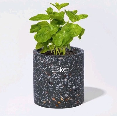 Brand New Esker Travertine Plantable Candle Amber Rosemary Patchouli w Soil Pod