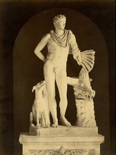 STATUE OF ROMAN OR GREEK IN FIG LEAF WITH HOUND AND WILD BOAR HEAD.