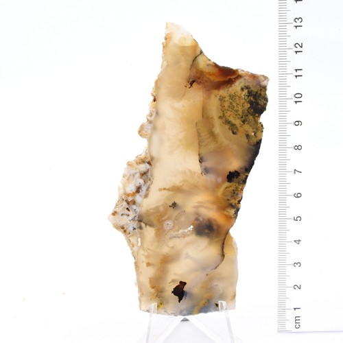 Angel Wing Jasper 4 x Slabs 388g Pack, Lapidary, Cabbing, Gemstone Slabs - Picture 2 of 4