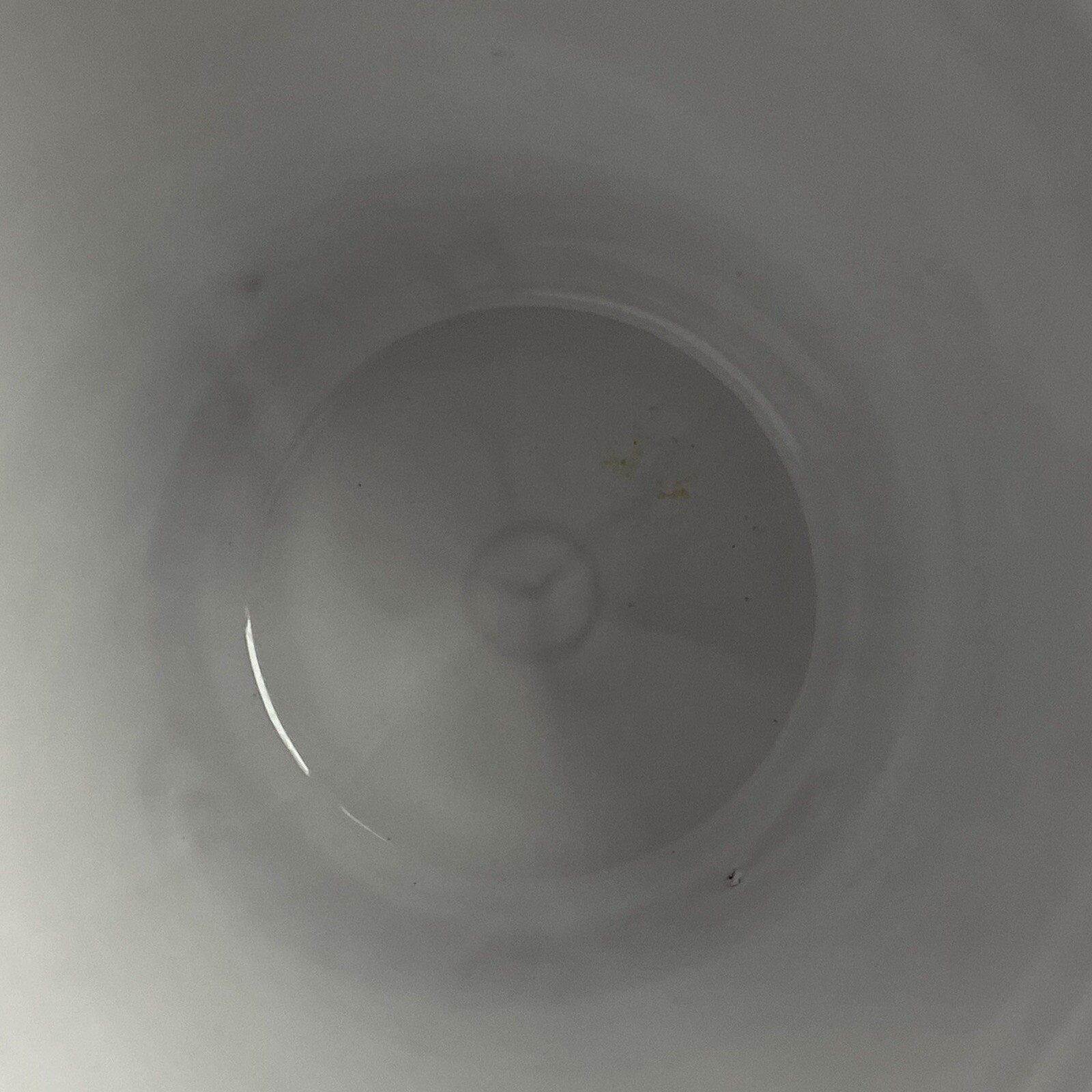 Picture 5 of 12