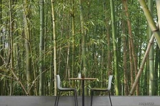 3D Bamboo Forest Wallpaper Wall Mural Removable Self-adhesive Sticker737