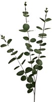 artplants KüNstlicher Zweig Eukalyptus Erindals, GrüN-Grau, 90Cm