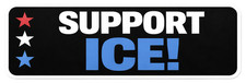 SUPPORT ICE - UNITED STATES - USA - AMERICA - IMMIGRATION- USA - STICKER / DECAL