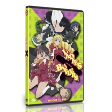 Ladies Versus Butlers! Anime Series VOL 1-12 Uncut, Uncensored, ENGLISH DUBBED