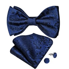 DiBanGu Men Bow Tie Paisley Striped Self-Bow Tie for Men and Silk Woven Bowtie P