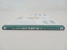 Sega Saturn Island Story of the Seven Winds Official Guidebook PICTURE IMAGINATI