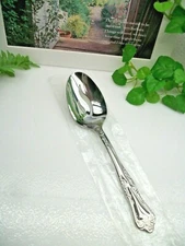 Oneida Silver    AZALEA   Stainless Steel  Pierced Slotted Serving Spoon    NEW