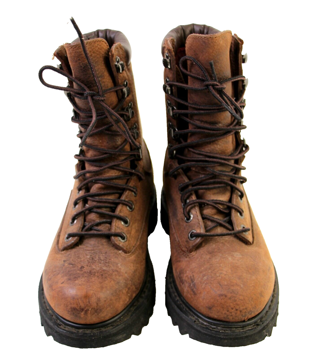 Cabela display picture 3